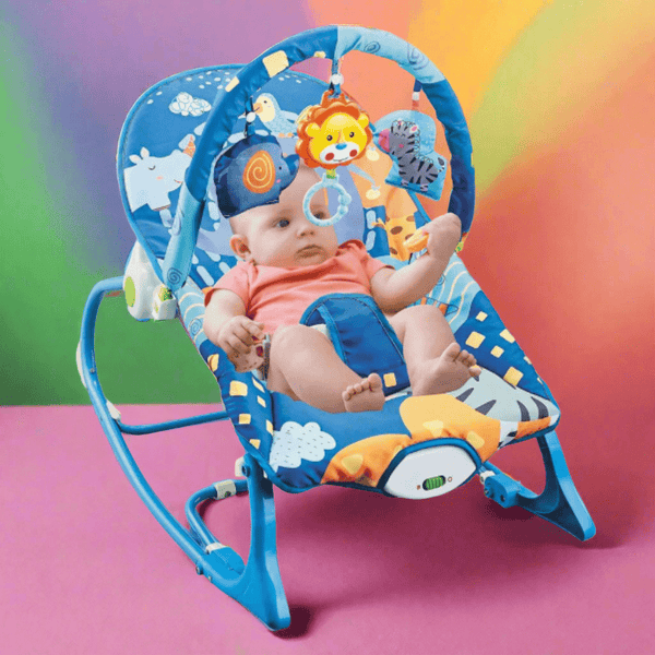 Infant - to - Toddler Soothing Bouncer Chair - KiddieWink - Gifts They'll Love