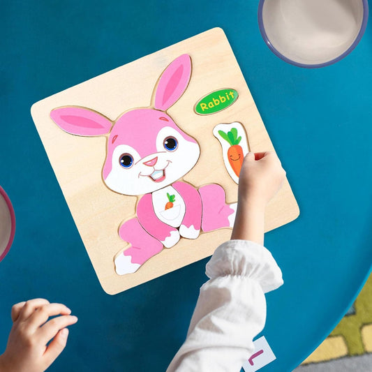 Multicolor Wooden 3D Puzzle Jigsaw Board For Kids