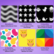 High Contrast Sensory Flash Cards For Babies - KiddieWink - Gifts They'll Love