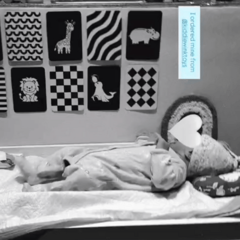 High Contrast Sensory Flash Cards For Babies