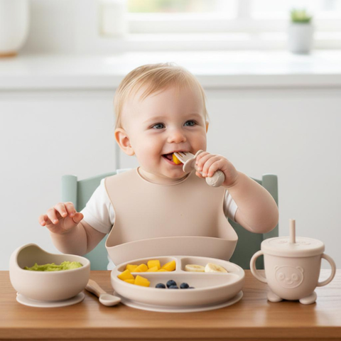 Multi-Piece Silicon Baby Dining Kit