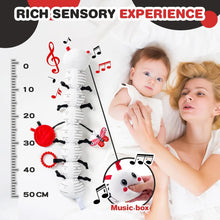High Contrast Sensory Tummy Time Caterpillar