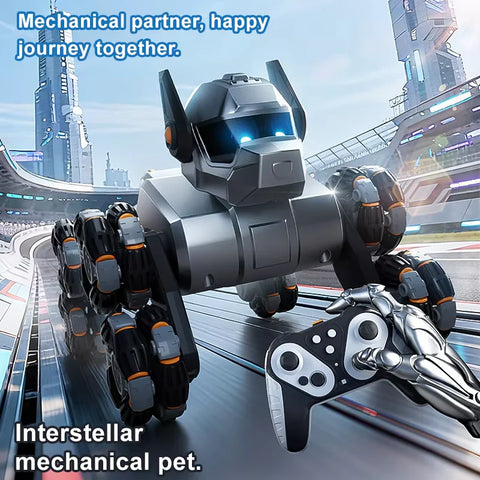 Multifunction RC Smart Electric Robot