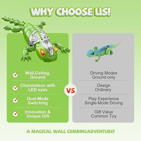 RC Wall Climbing Lizard For Kids
