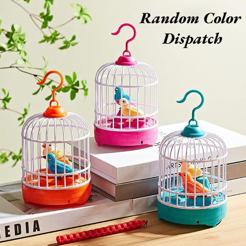 Mini Birdcage Musical Light &  Bird toy