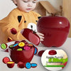 Educational Apple Storage Container Toy (12 PCS)