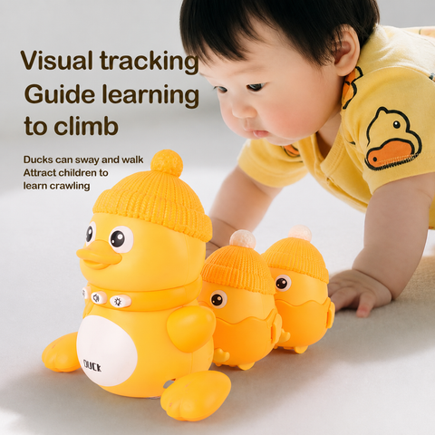 Lightning & Musical Swinging Duck Toy