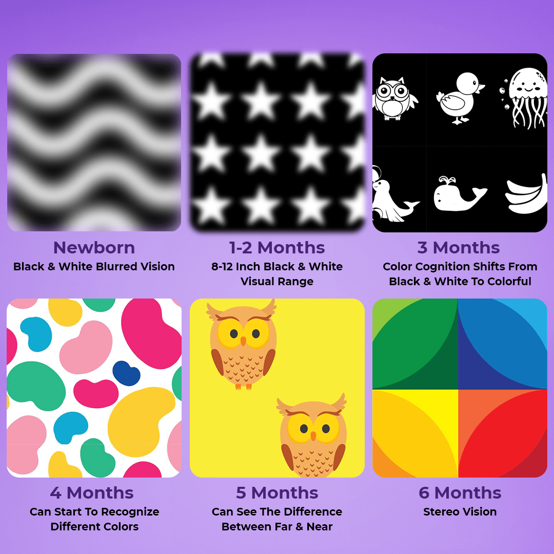 High Contrast Sensory Flash Cards For Babies - KiddieWink - Gifts They'll Love