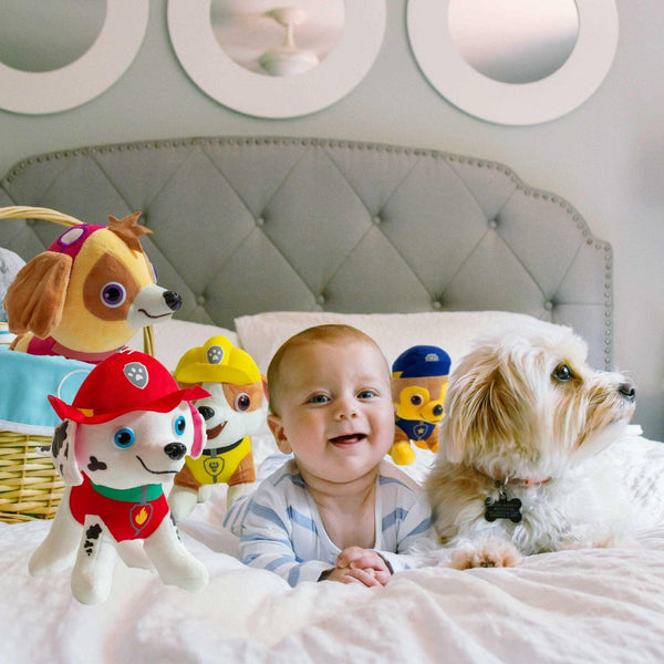 Cute Adorable Paw Patrol Plush Toy – KiddieWink Gifts They'll Love